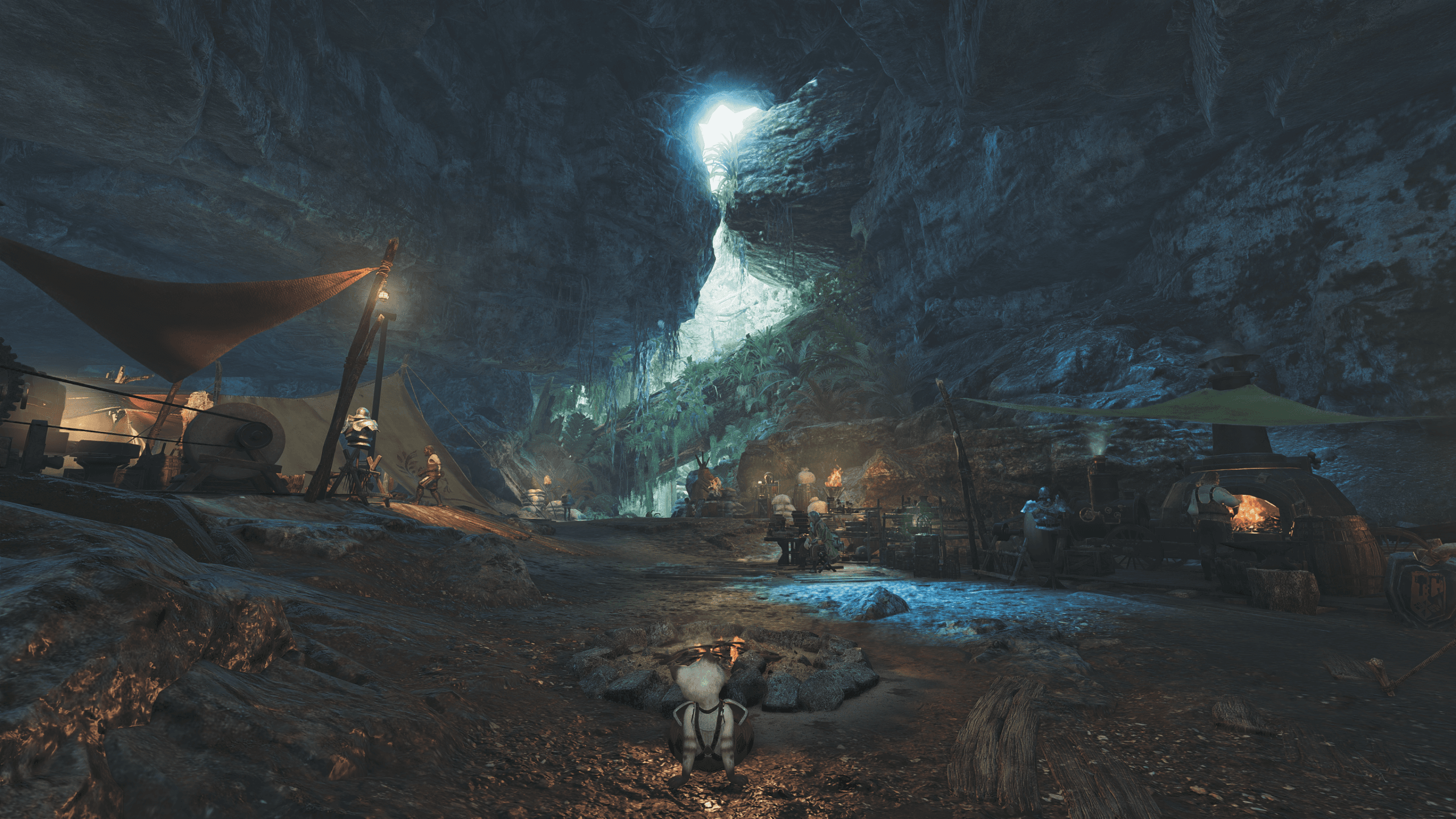 scarlet forest camp