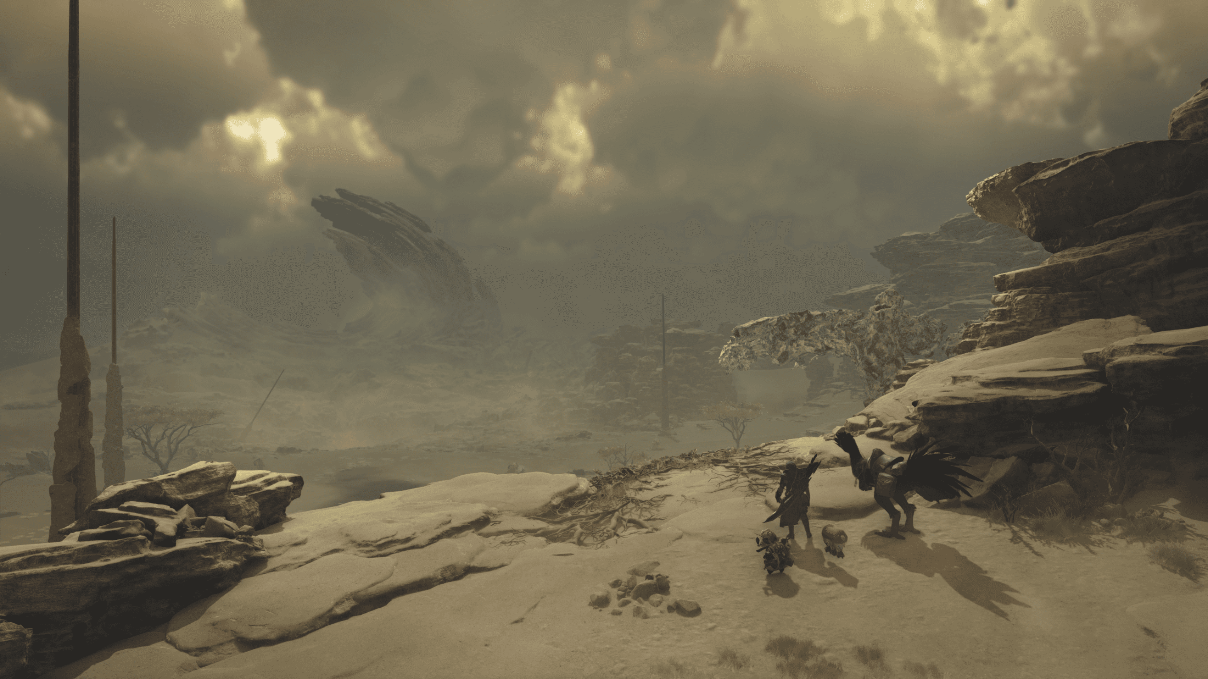 windward plains
